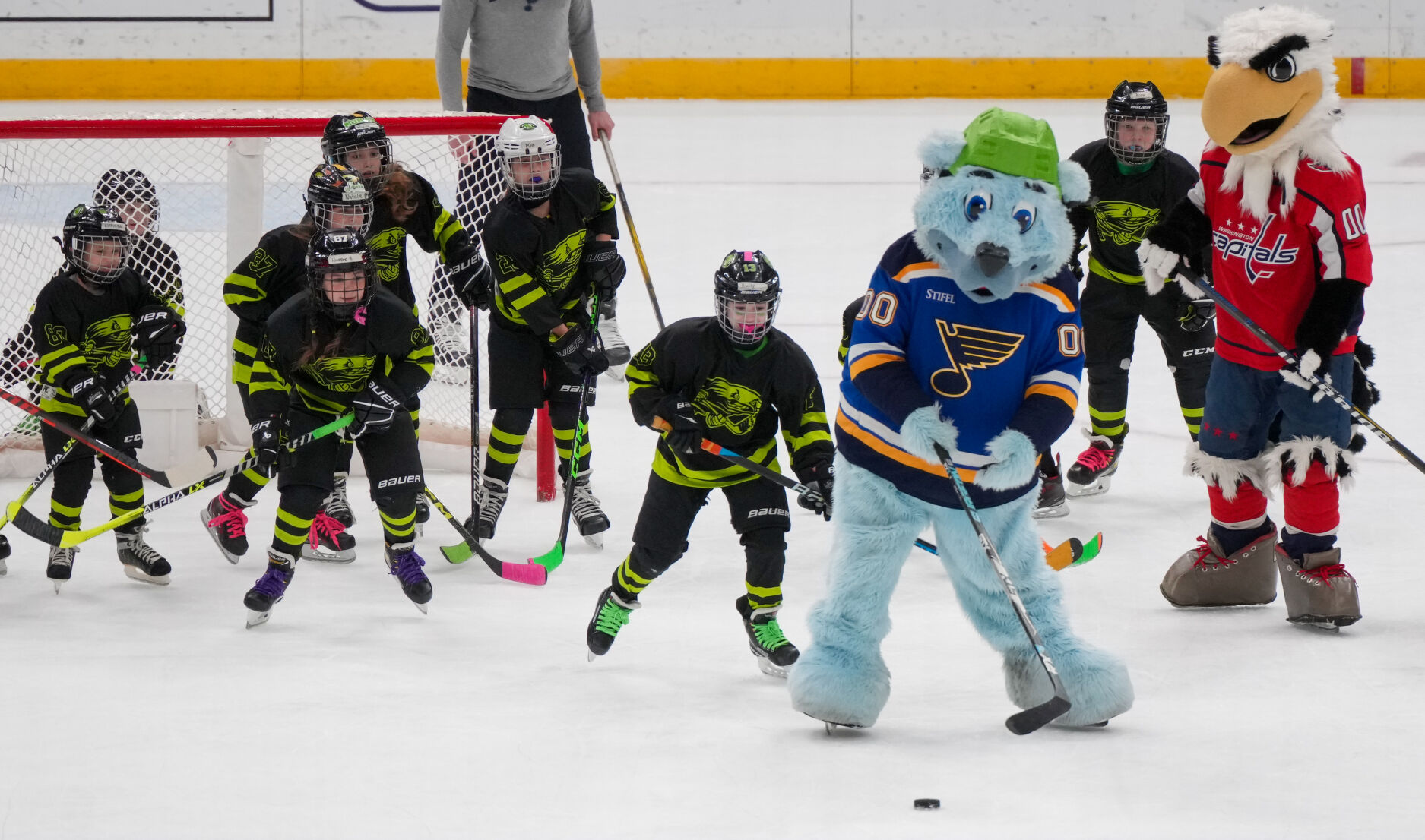 Gallery: St. Louis Lady Cyclones @ Blues Game vs Mascots - Mar. 17 ...