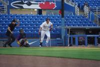 Dunedin Blue Jays strike out 24 batters in a game