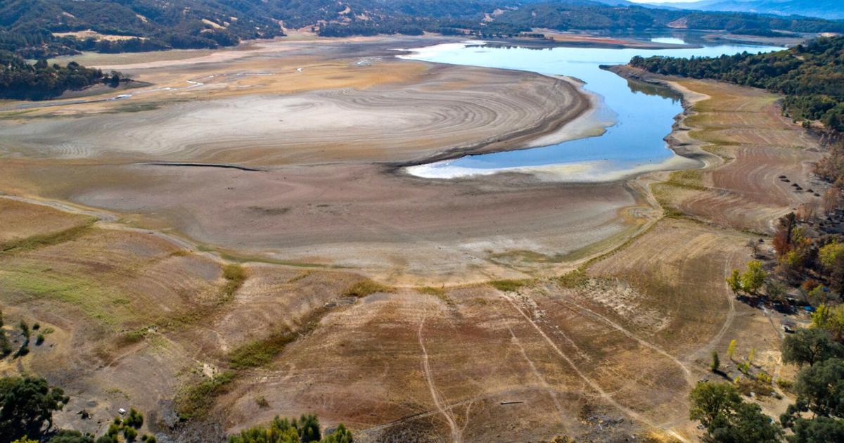 Continued drought conditions add billions in California agriculture losses - West Side Index & Gustine Press-Standard
