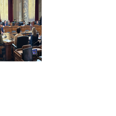 LA City Council Looks to Bolster Approach in Addressing Youth ...