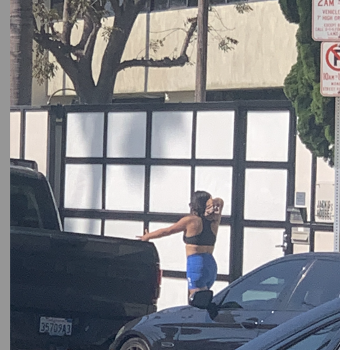 Homeless woman who attacked dog in Venice sought regarding child assault in Santa Monica