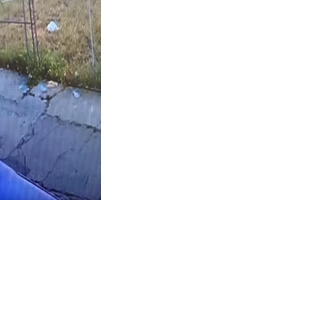 Man Charged with Felony Animal Cruelty for Allegedly Violently Abusing ...
