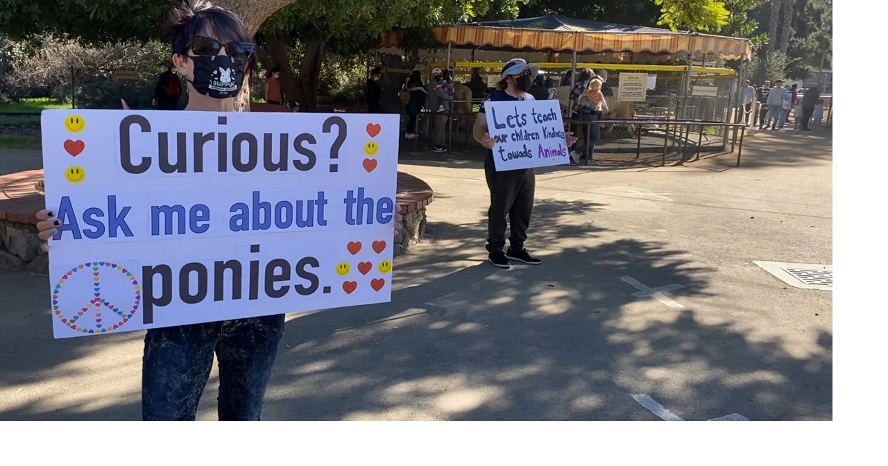 Animal Activists Rally for No-Animal Program to Replace Pony Rides at ...