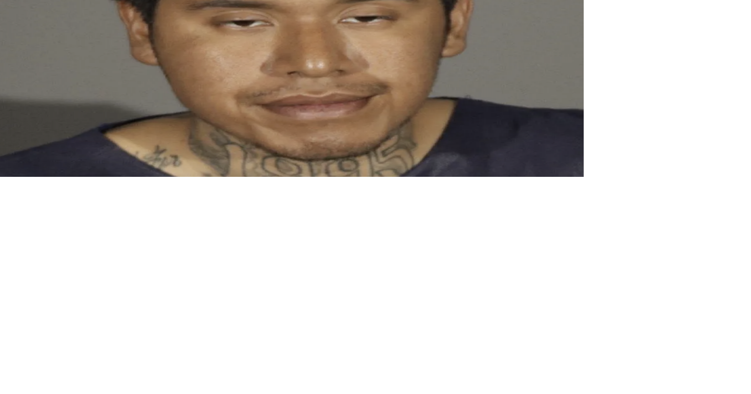 Probationer Charged With Attempted Murder in Santa Monica Stabbings ...
