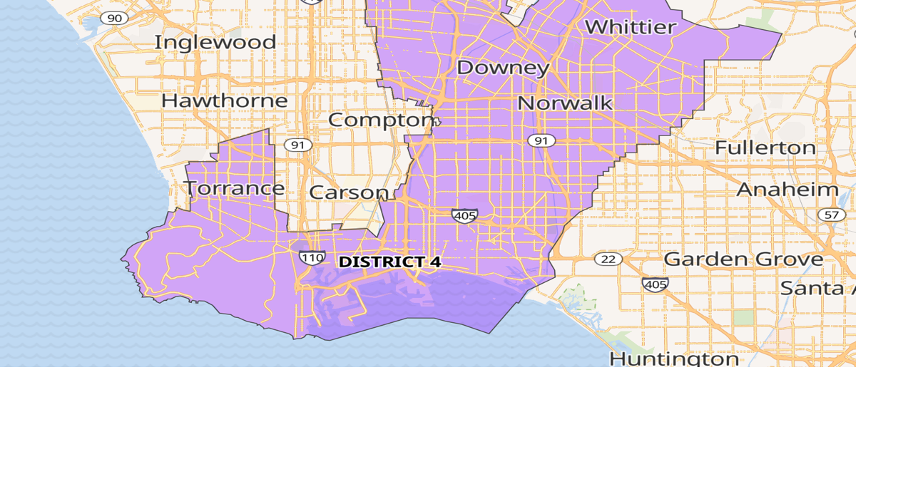 Los Angeles County Supervisor District 4 Voter