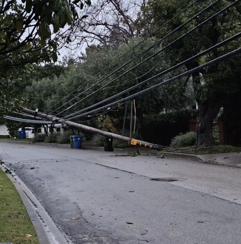 Large Tree Falls on House and Power Lines in Brentwood Area | News ...