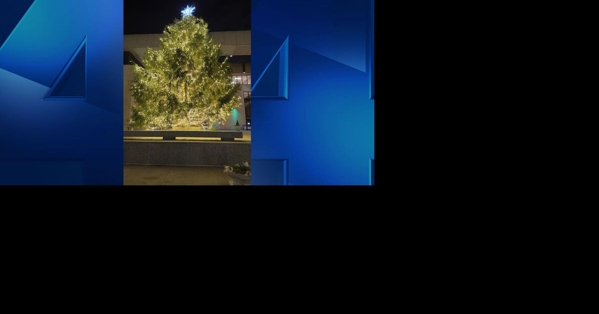 Evansville Mayor Lloyd Winnecke lights Christmas tree... Again News