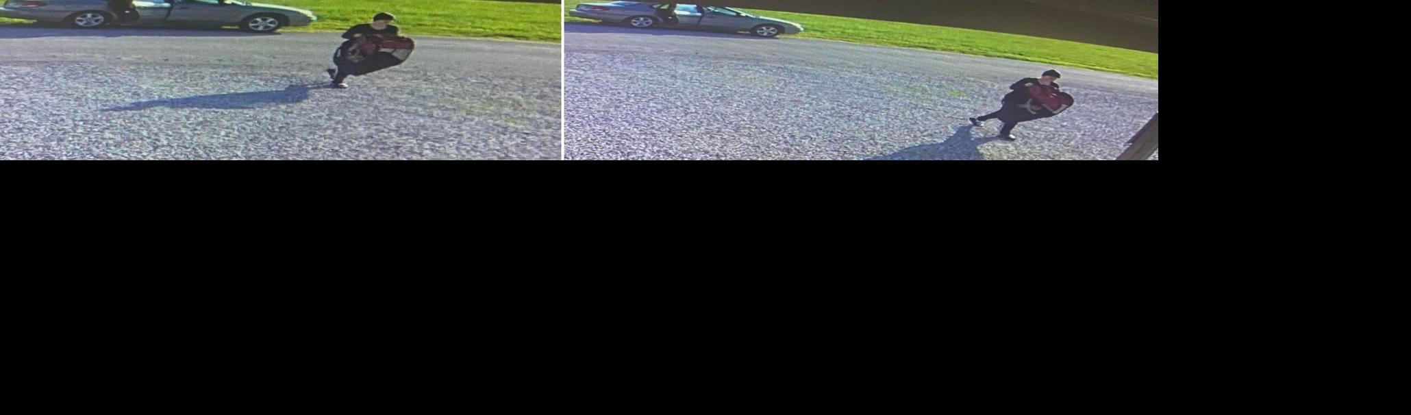 Warrick County Animal Control looking for person accused of illegally