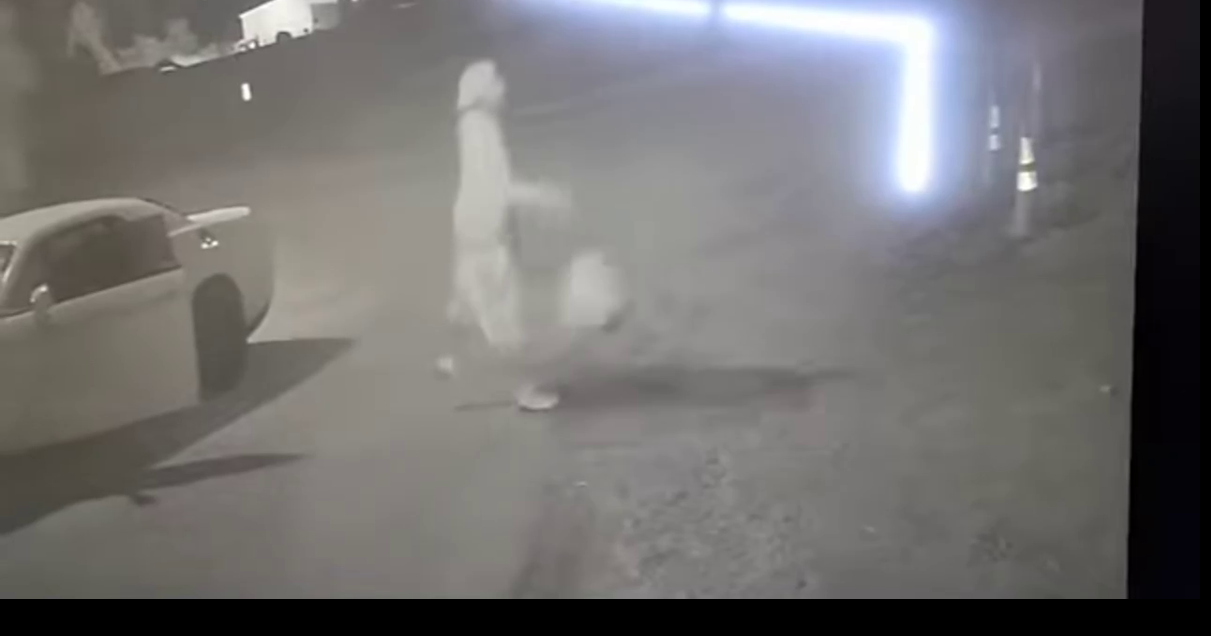 Evansville business's security camera appears to show man dumping dog Indiana