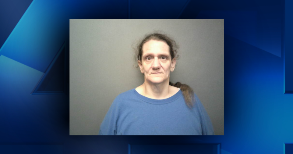 Petersburg woman arrested on animal cruelty warrants from 2023