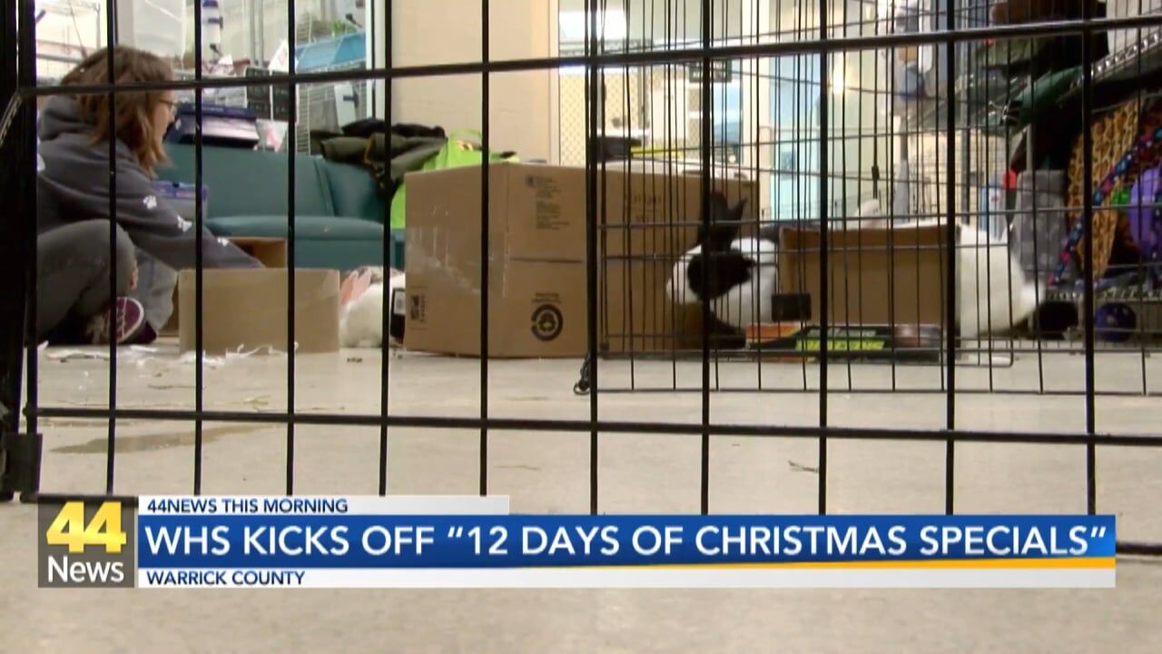 Warrick Humane Society Kicks Off "12 Days Of Christmas" Adoption ...