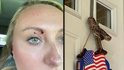 Kentucky woman bitten by snake coiled on door hanger