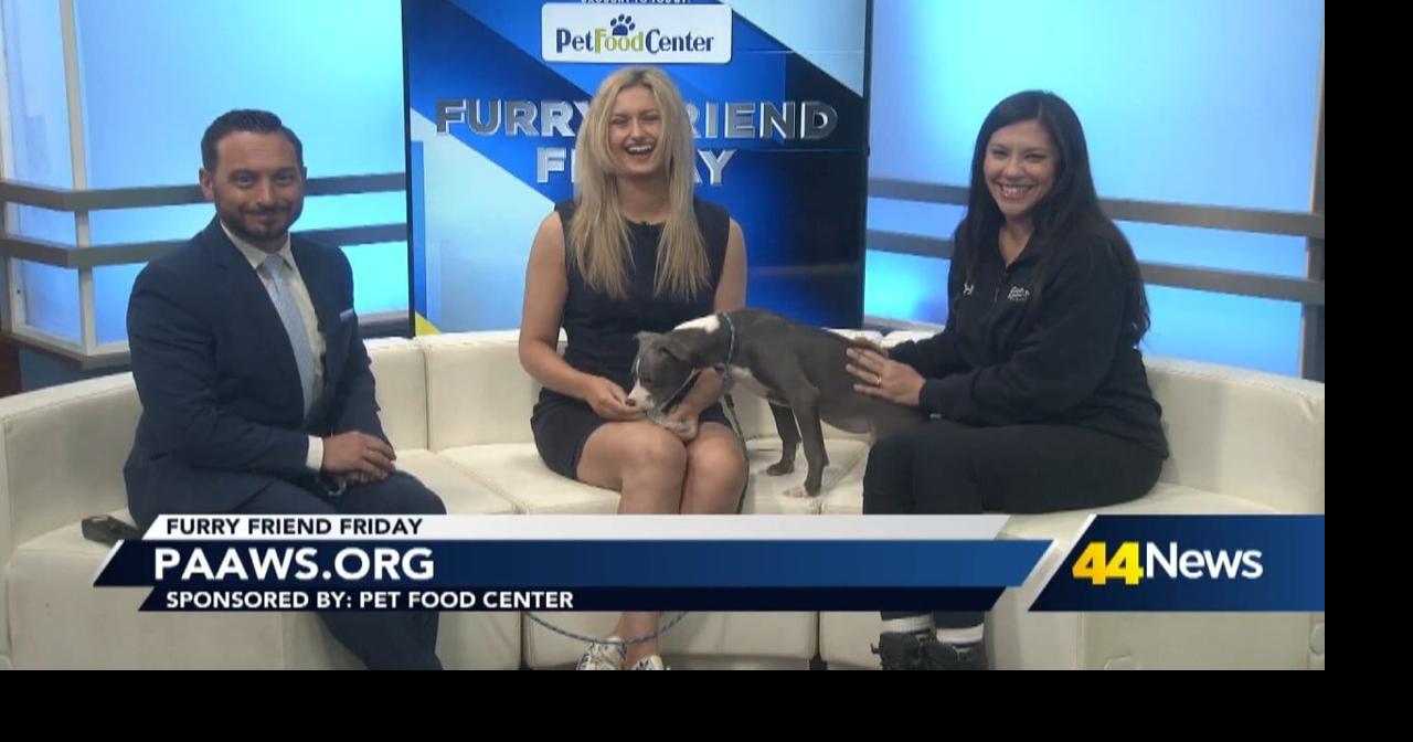 Furry Friend Friday: Meet Blue