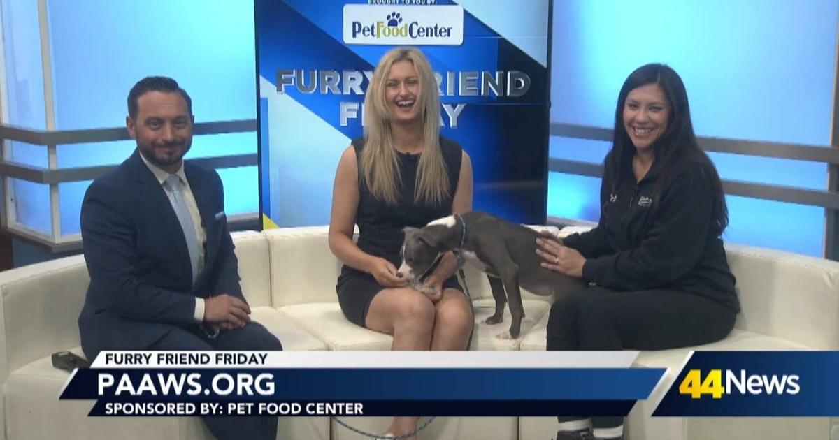 Furry Friend Friday: Meet Blue