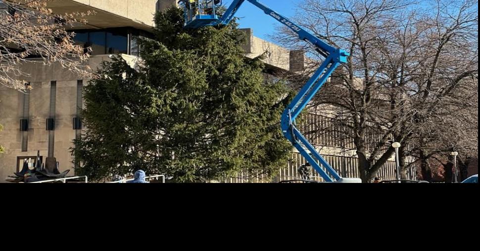 Crews seen restringing Evansville Christmas tree with lights Indiana