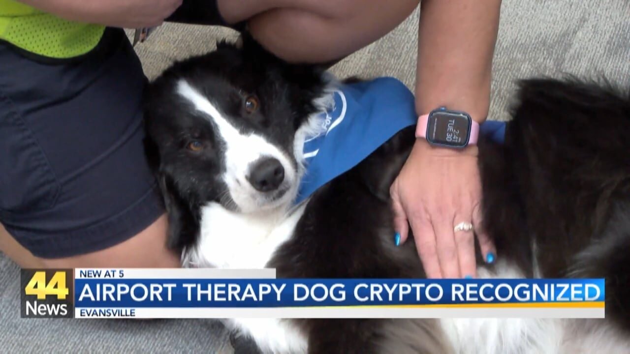 Evansville Regional Airport therapy dog recognized