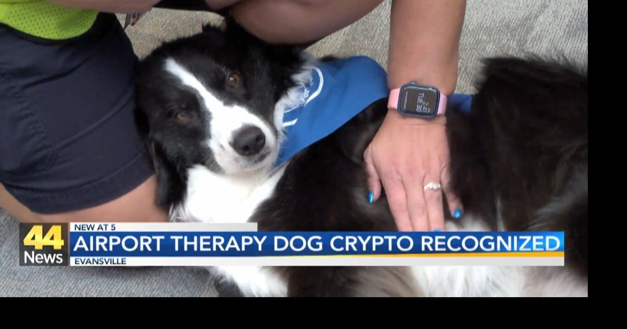 Evansville Regional Airport therapy dog Crypto is recognized | News