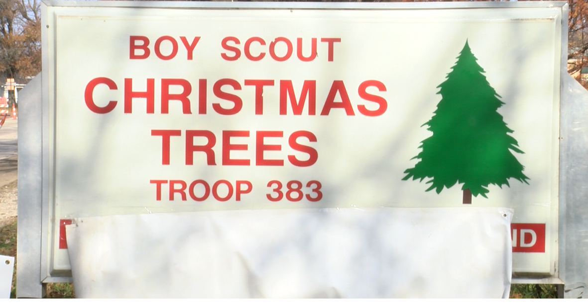 Boy scout top christmas trees