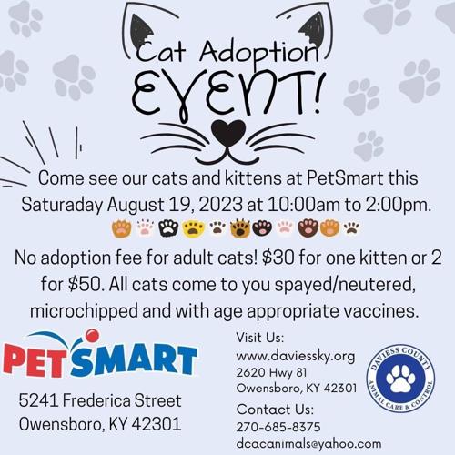 Cat adoption event happening at Owensboro PetSmart Kentucky