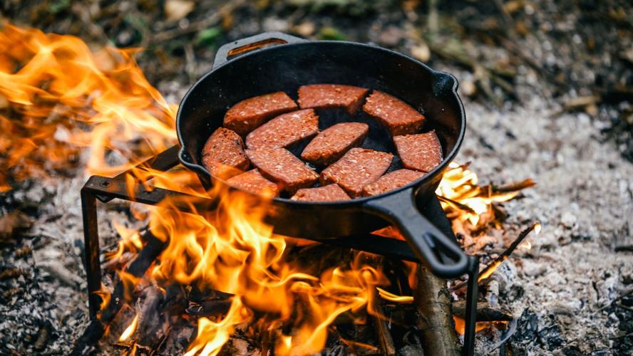 The Best Skillet for Camping » Campfire Foodie