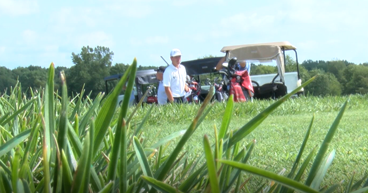 Korn Ferry Tour Championship expected to boost local economy | Indiana ...