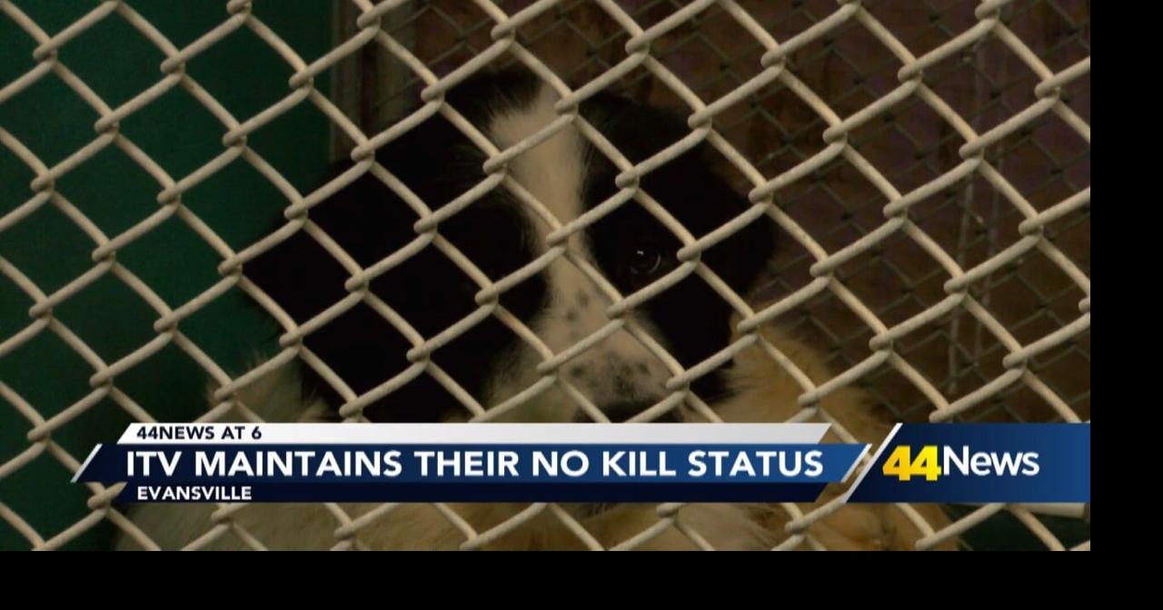 Local shelter maintains its 