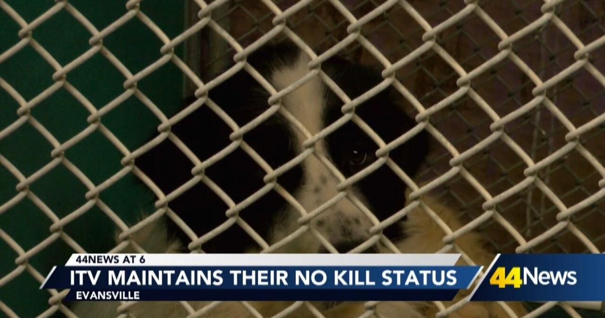 Local shelter maintains its