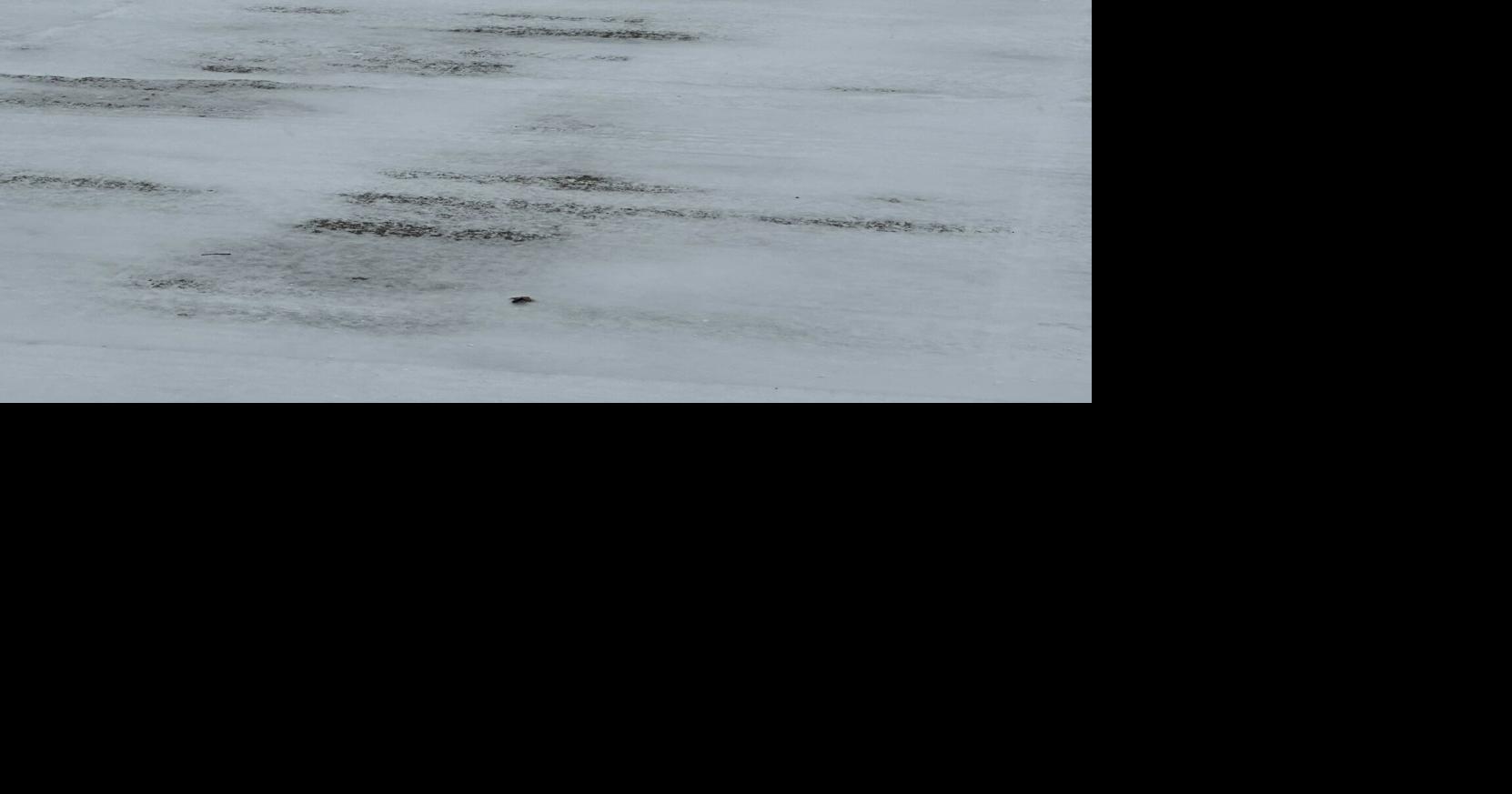 Meals Suspended for Union County Senior Services Clients on Thursday Due to Winter Weather