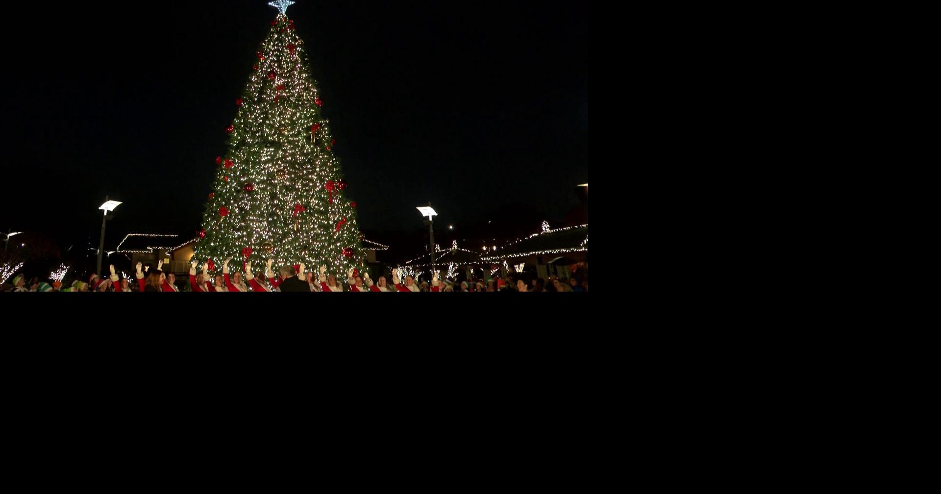 Owensboro lights new Christmas tree News