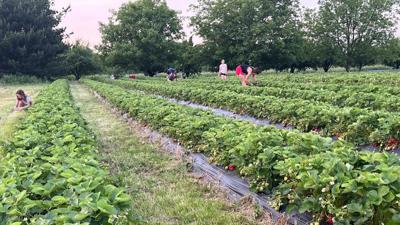 Small farms help foster local tourism in the Tri-State