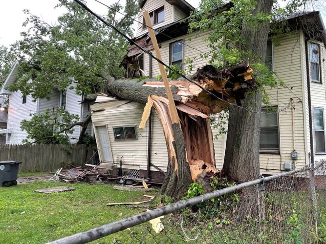 Home smashed by tree at East Powell Avenue and South Garvin Street in Evansville
