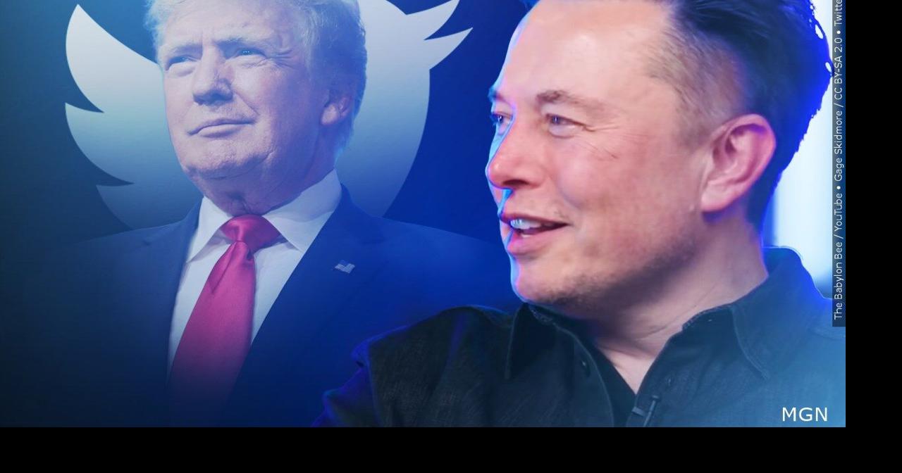 Elon Musk Restores Donald Trumps Twitter Account National 