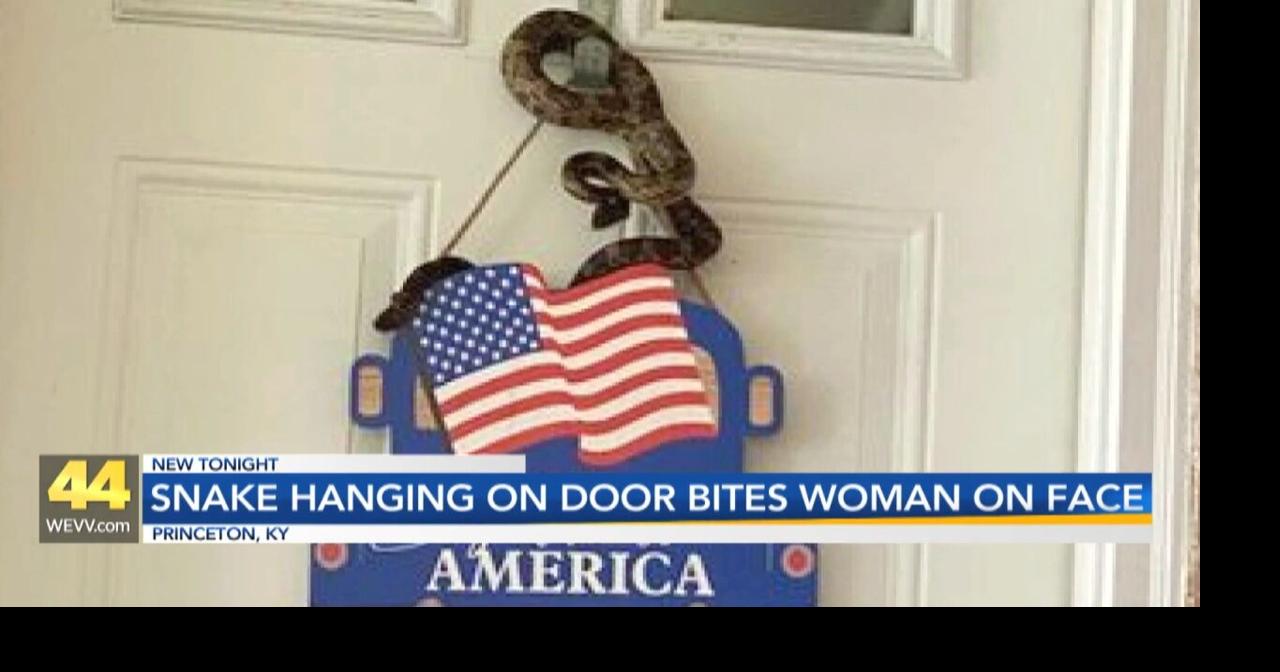 Western Kentucky woman bitten on face by snake coiled on door hanger