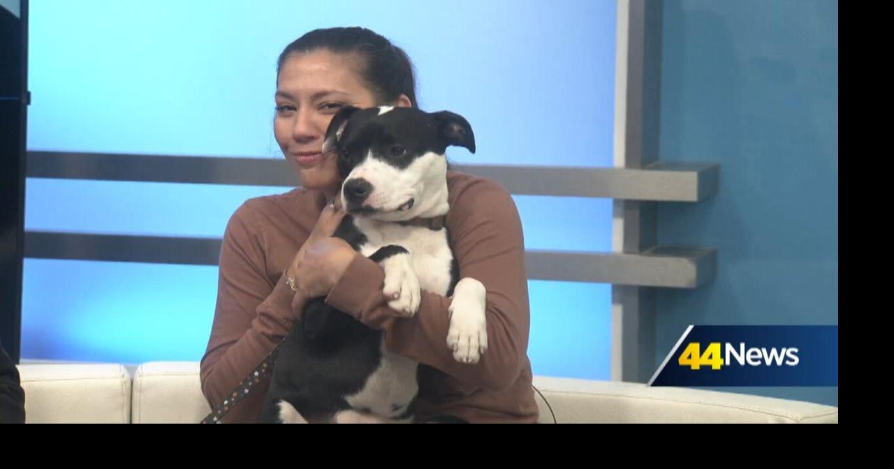 Furry Friend Friday: Meet Valentina!