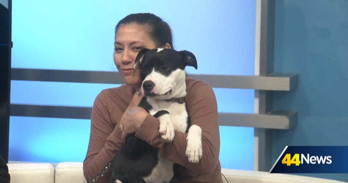 Furry Friend Friday: Meet Valentina!