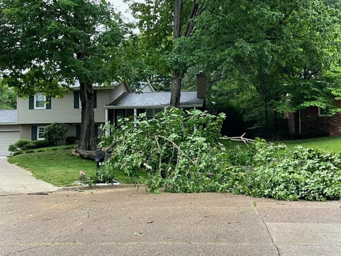 A tree downed by a storm on Charmwood Court in Evansville
