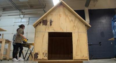 Local girl uses grant money to build dog houses for humane society 
