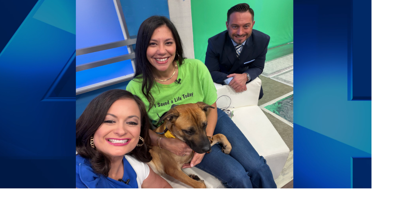 Furry Friend Friday: Meet Jabba!