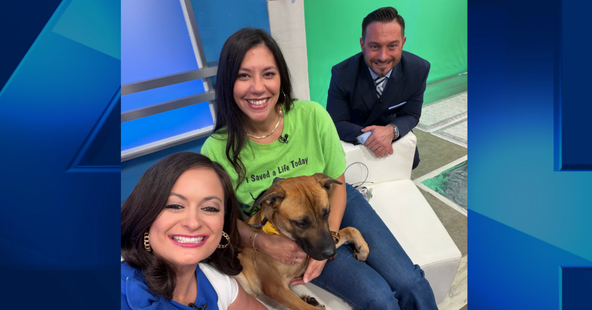 Furry Friend Friday: Meet Jabba!