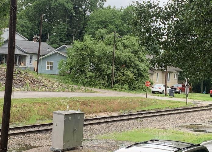 Tree falls on home in Oakland City, Indiana