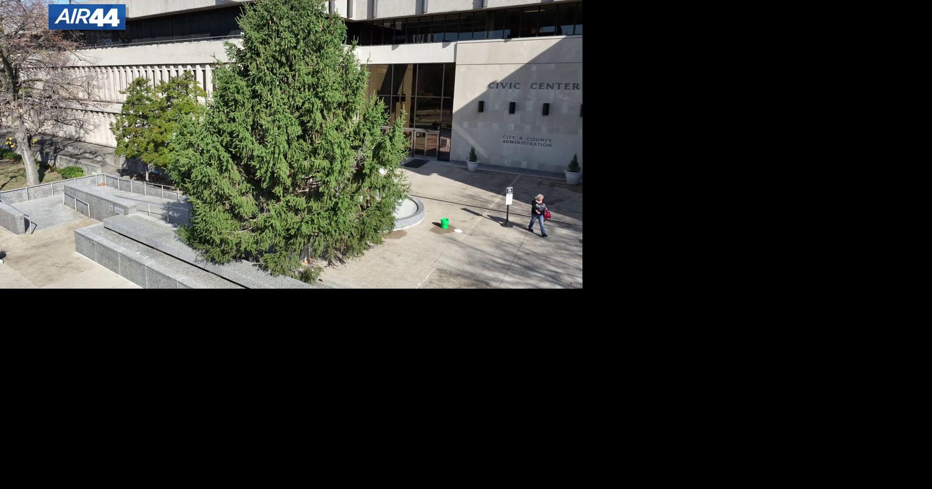 Evansville's official Christmas tree arrives downtown Indiana