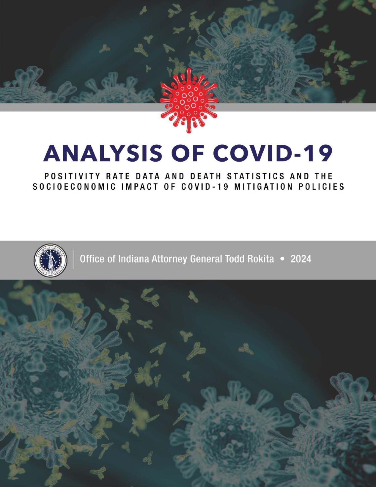 Rokita COVID-19 report