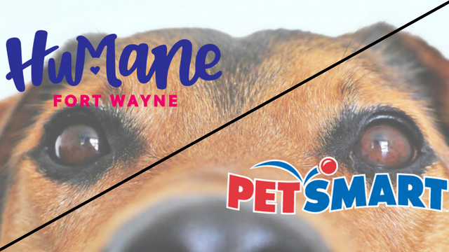 MPAS partners with PetSmart Charities for National Adoption Week