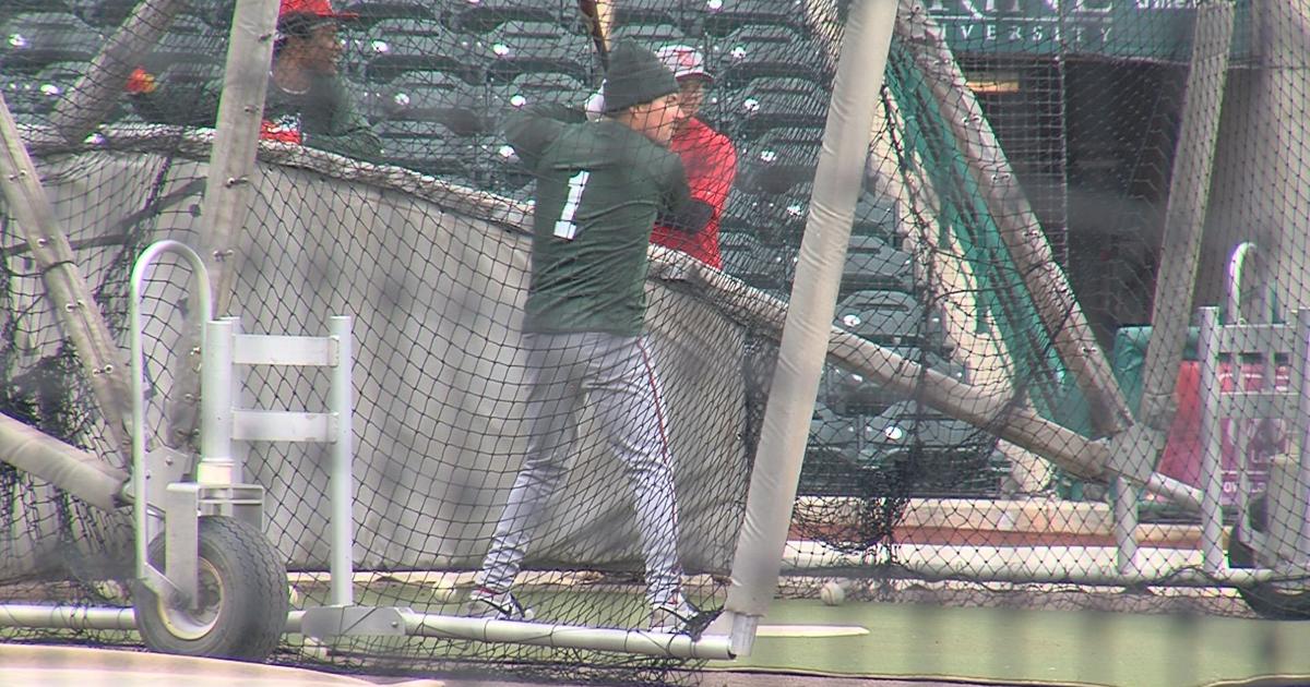 Salas, Lesko headline TinCaps Opening Day Roster TinCaps