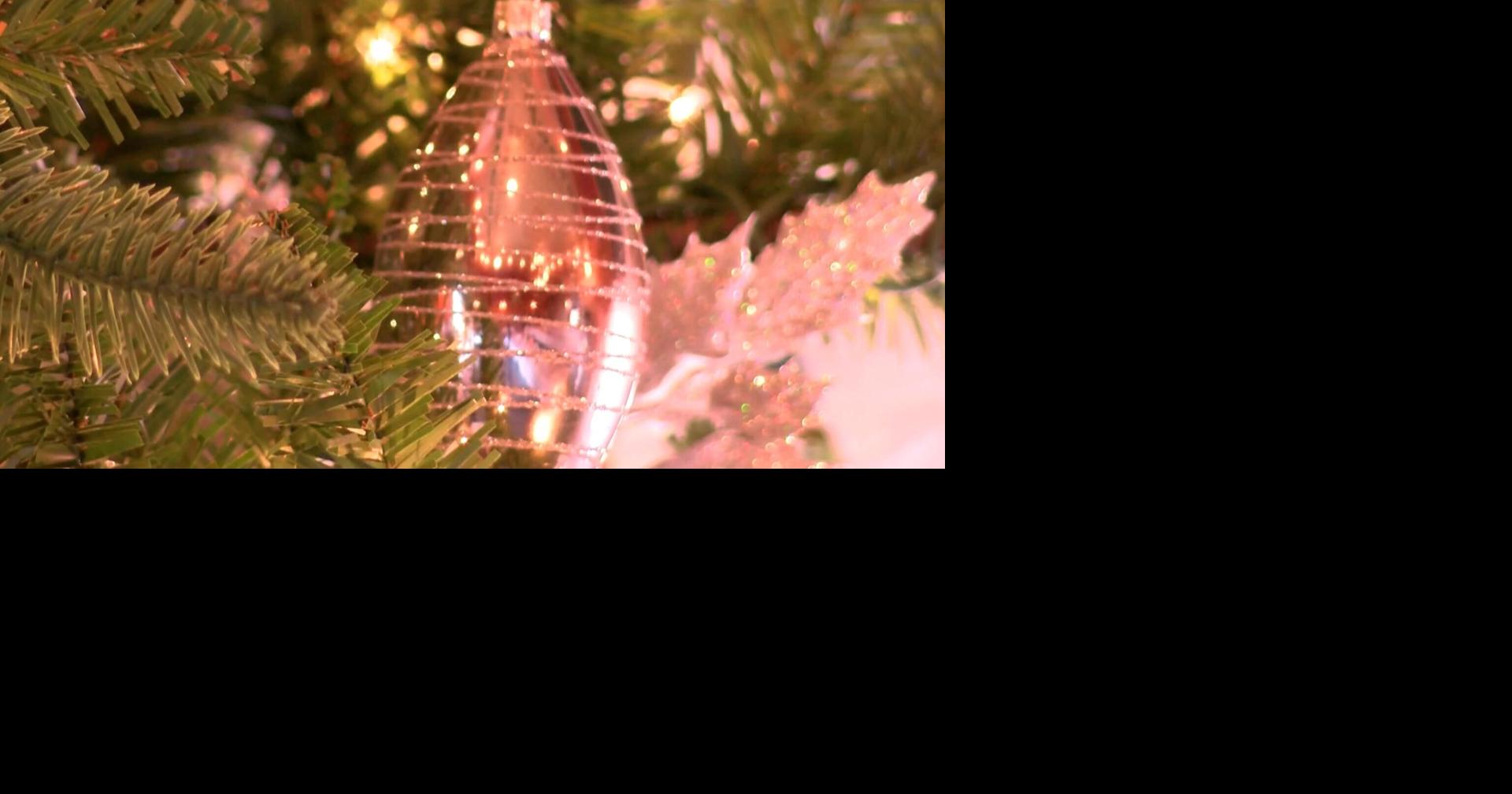 Festival of Gingerbread celebrates 38 years in Fort Wayne Community