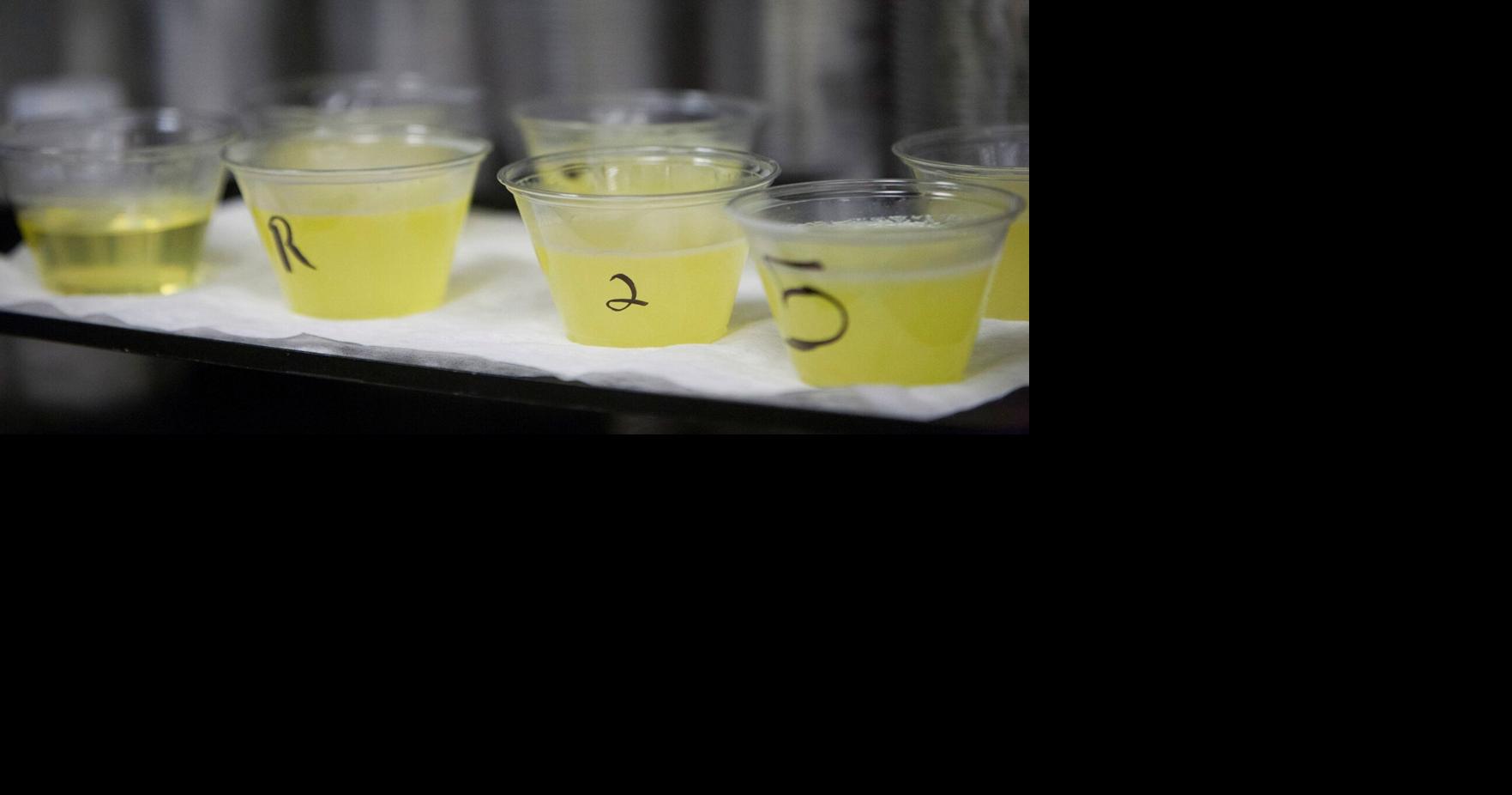 Robert F. Kennedy Jr. says beef tallow is healthier than seed oils. Is he right?