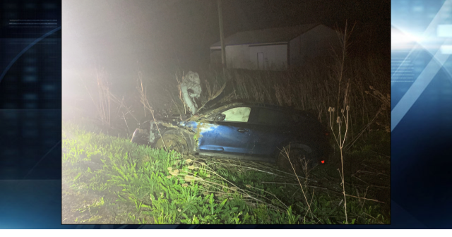 New York woman injured in DeKalb County crash after falling asleep at the wheel – WFFT FOX 55 Fort Wayne | Indiana News & Weather