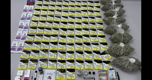 Beech Grove man arrested after police find over 15 pounds of marijuana