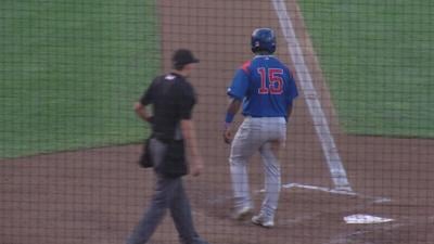 South Bend Cubs baseball team owner planning expansion at Four Winds Field, Business