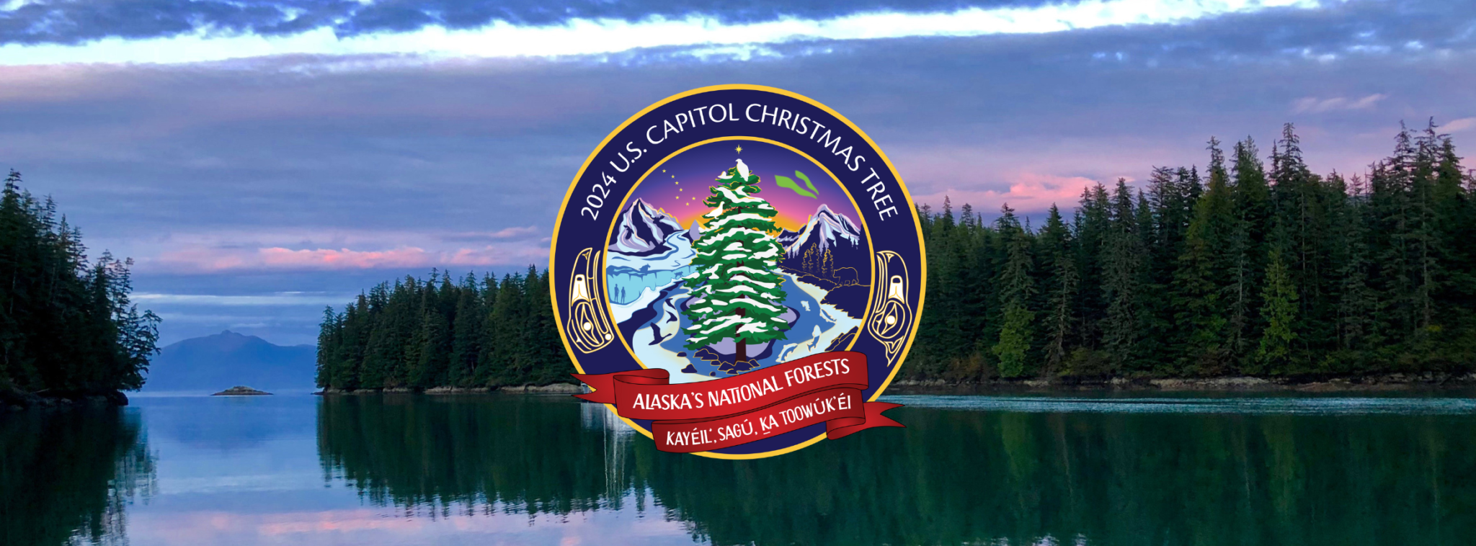 Christmas cheer U.S. Capitol Christmas Tree to visit Fort Wayne next